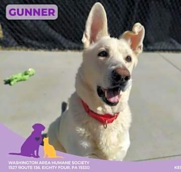 Photo of Gunner
