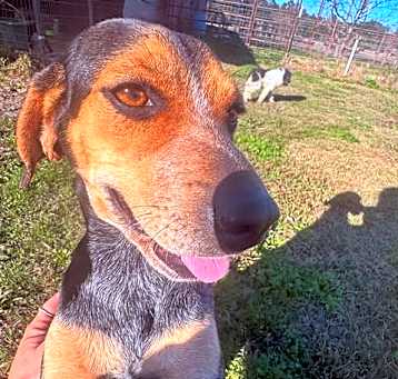 Photo of Sissie