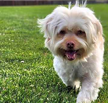 Photo of Gregarious Georgie