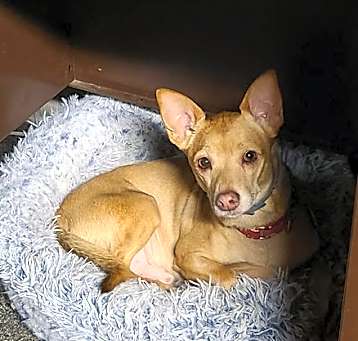 Photo of Sam