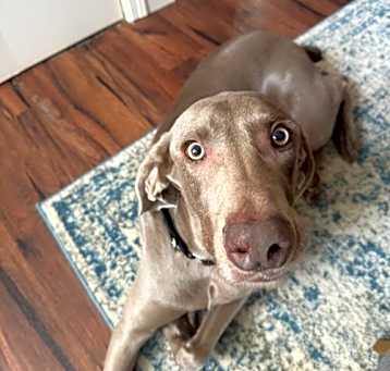 Photo of Charlie