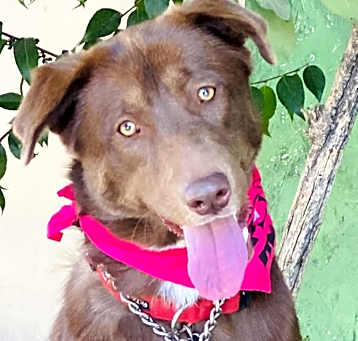 Photo of KEIKO