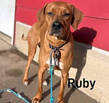 Photo of Ruby