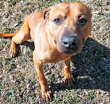 Photo of Bourbon