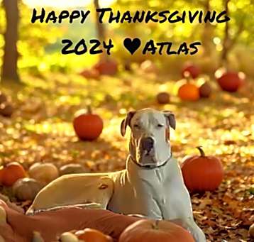 Photo of Atlas