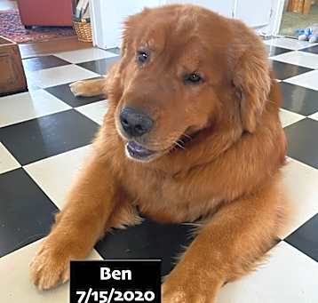 Photo of Ben