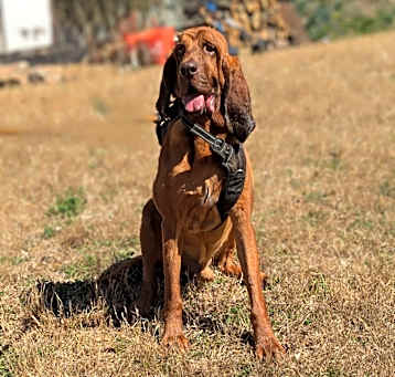 Photo of Zeus