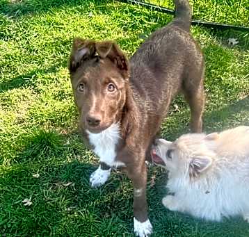 Photo of Koca