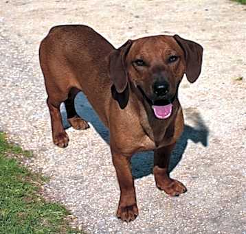 Photo of Max