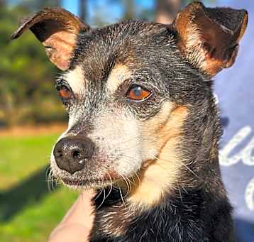 Photo of Rodger Dodger