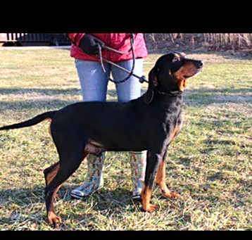 Photo of Melvin