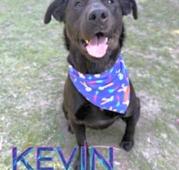 Photo of Kevin 124890