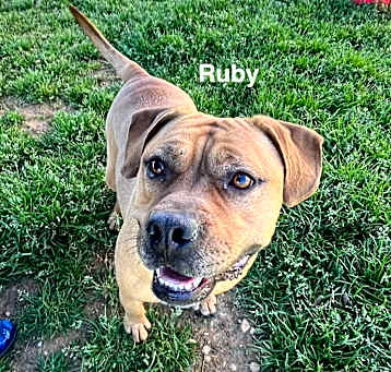 Photo of Ruby