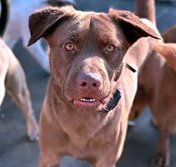 Photo of HERSHEY