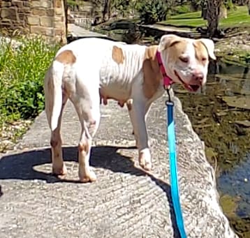 Photo of Matilda