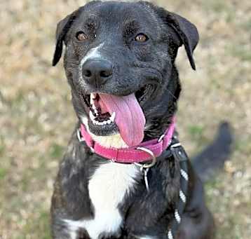 Photo of Cali