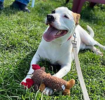 Photo of Petey