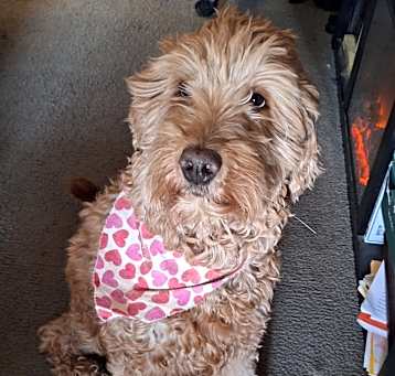 Photo of Niya