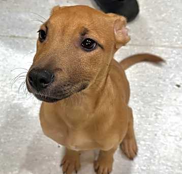 Photo of Heidi