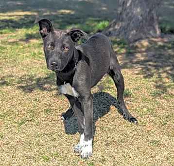 Photo of Tizzy