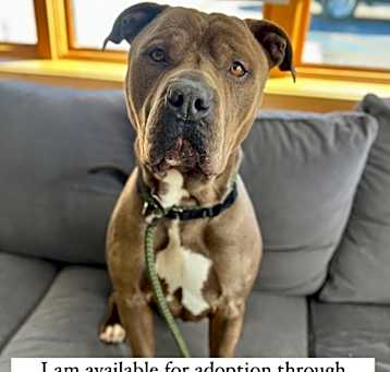 Photo of Sully 3696/3720