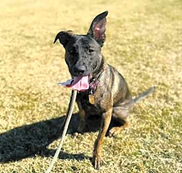 Photo of Bella
