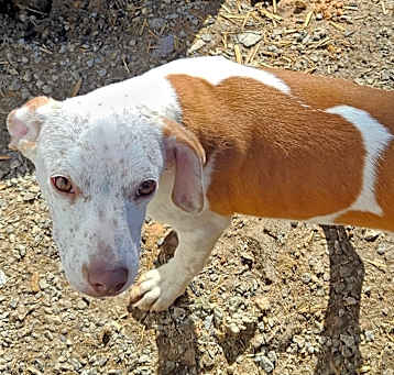 Photo of Skye
