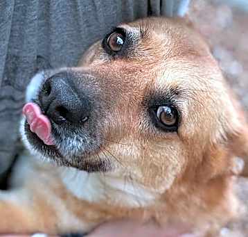 Photo of Gretchen