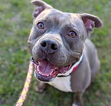 Photo of ROCKEY