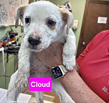 Photo of Cloud