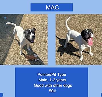 Photo of Mac