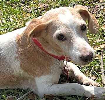 Photo of Benny-14