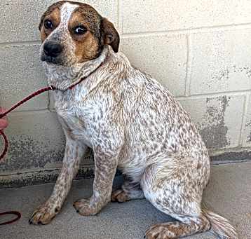 Photo of Oakley