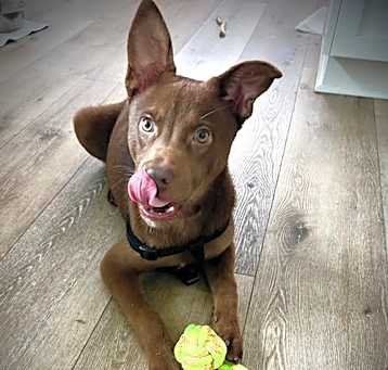 Photo of Jayden