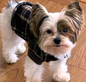 Photo of Max