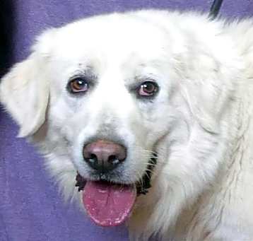 Photo of BONNIE