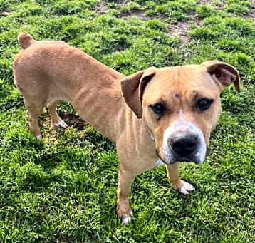 Photo of CANELA