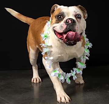 Photo of Marlee