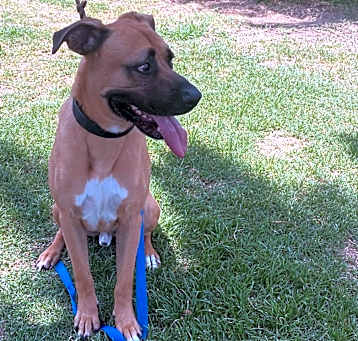 Photo of ROMEO