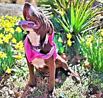 Photo of Whitney