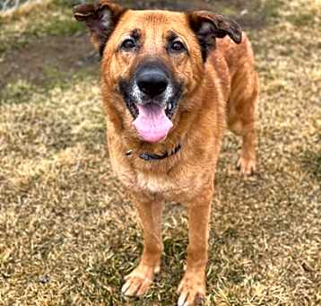 Photo of Benson 905884