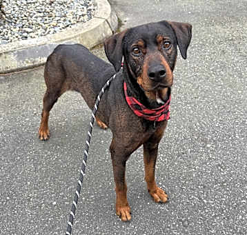 Photo of Chango