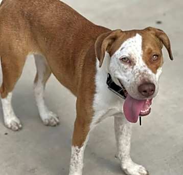 Photo of Roxanna - Regal Gal!