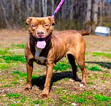 Photo of Goldie