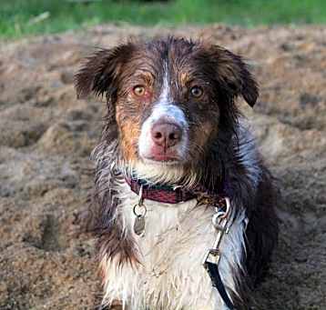 Photo of 0782 Remi
