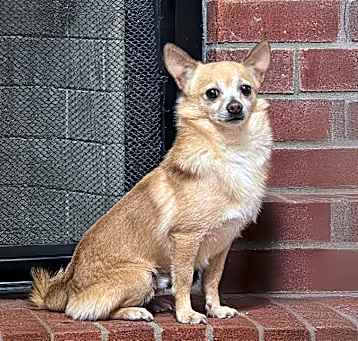 Photo of Huckle