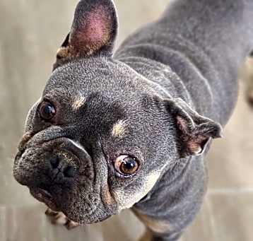 Photo of Holly
