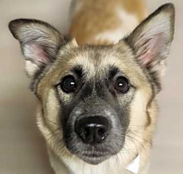 Photo of Potter