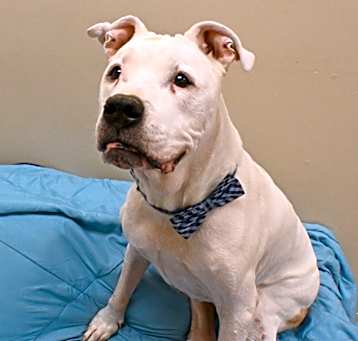 Photo of Hunter *Sponsored Senior