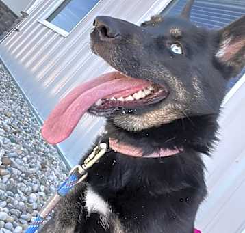 Photo of Nyx